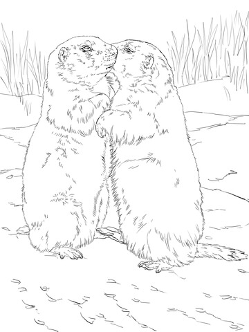 360x480 Kissing Prairie Dogs Coloring Page Free Printable Coloring Pages