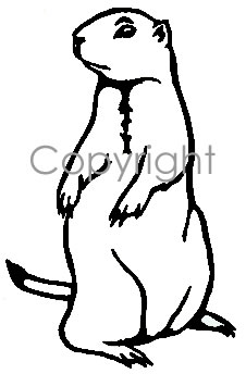 226x344 Prairie Dog Decal
