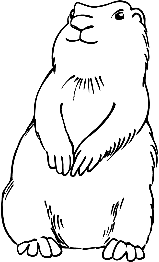 650x1071 Prairie Dog Template (For Fuzz Decorating) Storyhour
