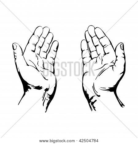 450x470 Praying Hands Vector Amp Photo Bigstock