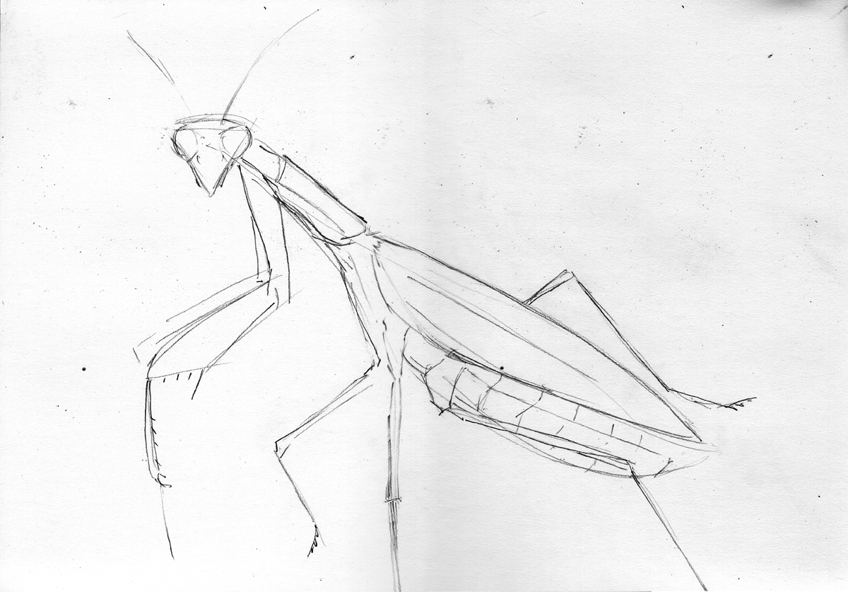 1200x837 Neornithes Just Another Site Page 42