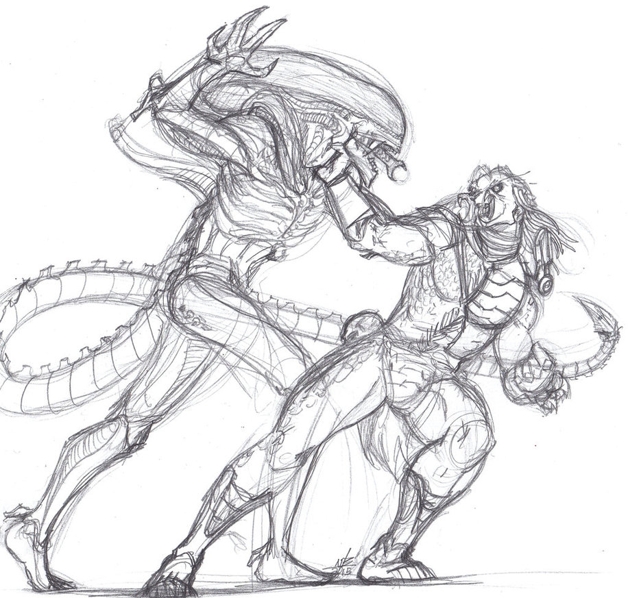 916x873 Alien Vs. Predator Sketch By Constantscribbles