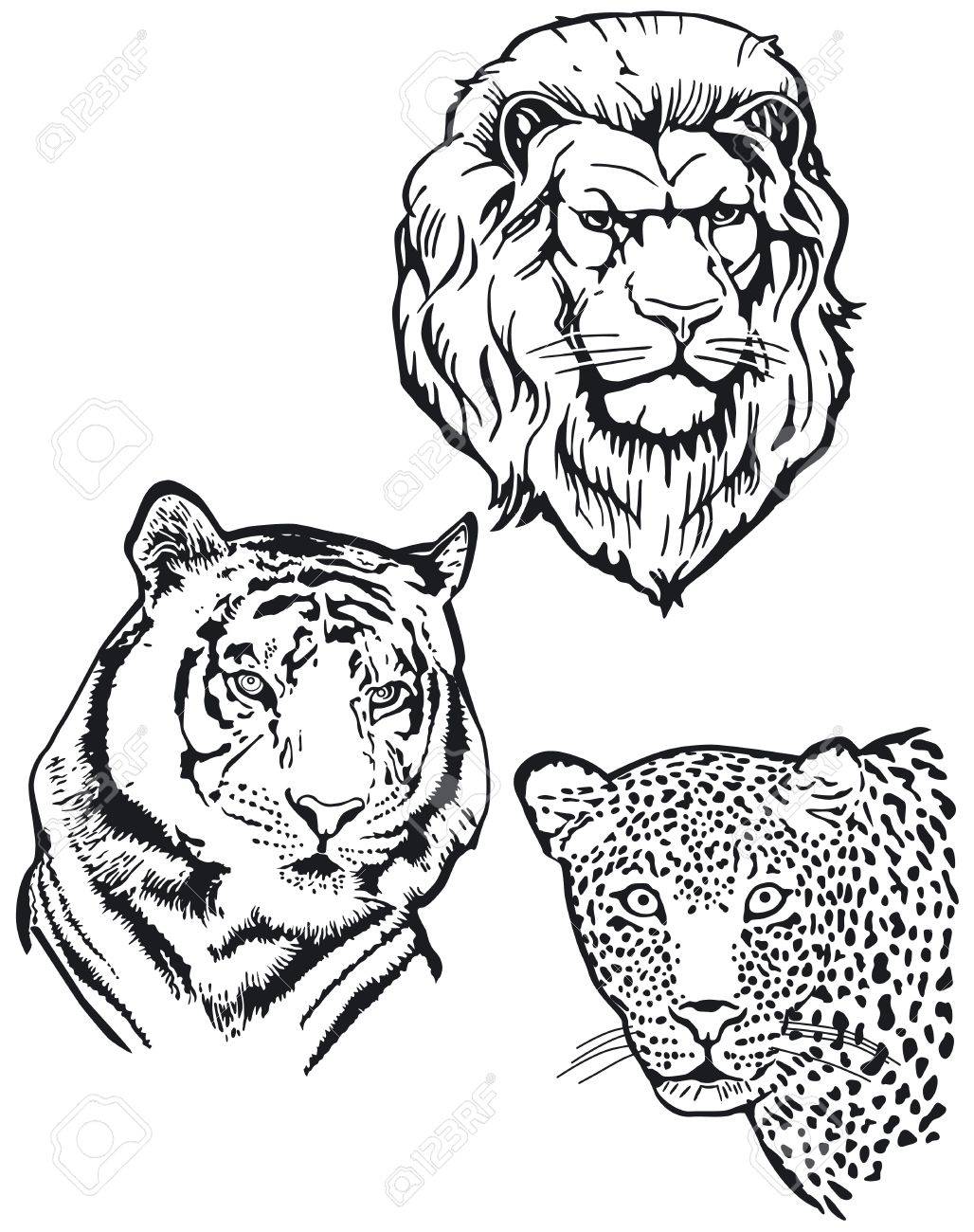 1028x1300 Three Predators, Lion, Tiger, Leopart Royalty Free Cliparts