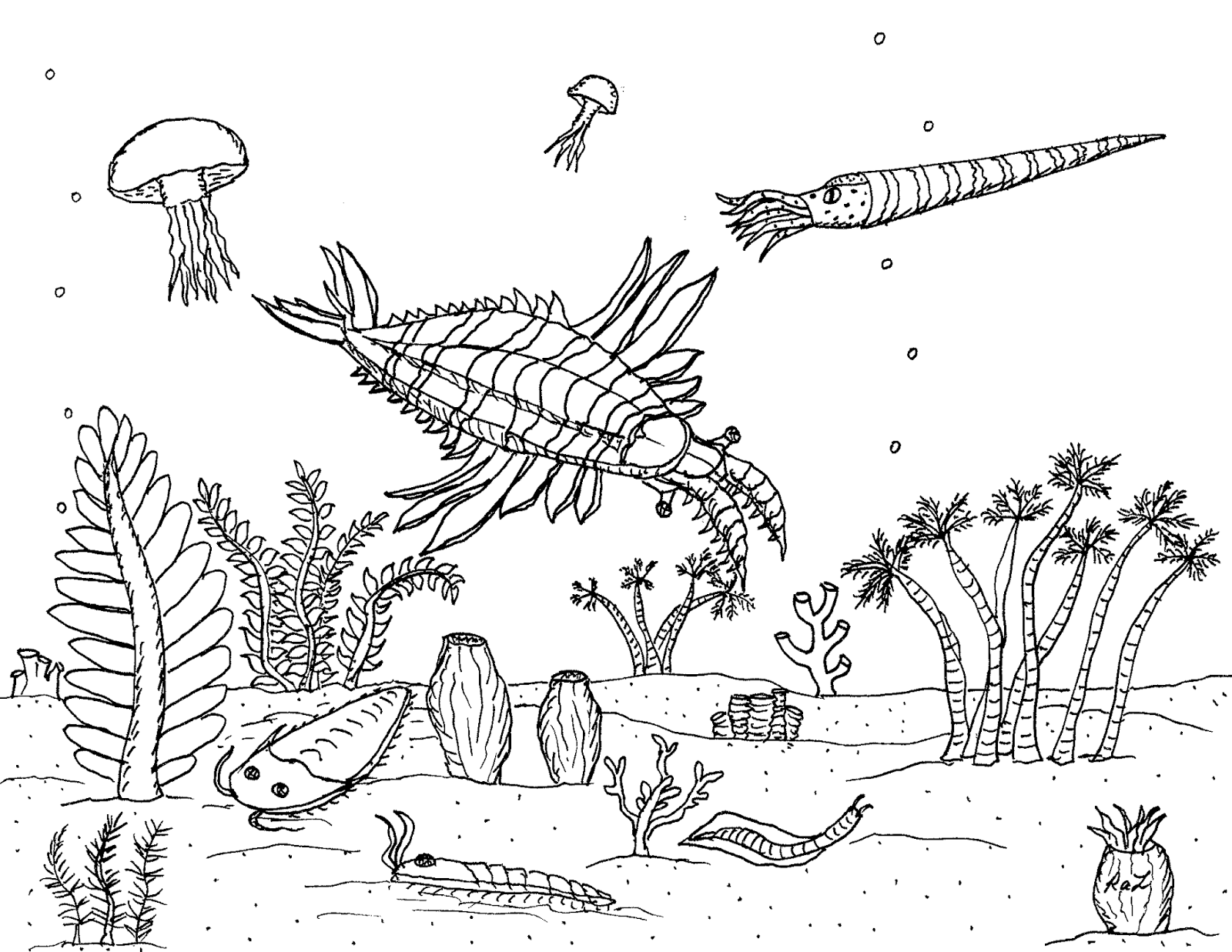 1600x1237 Robin's Great Coloring Pages Anomalocaris The Earth's First Super