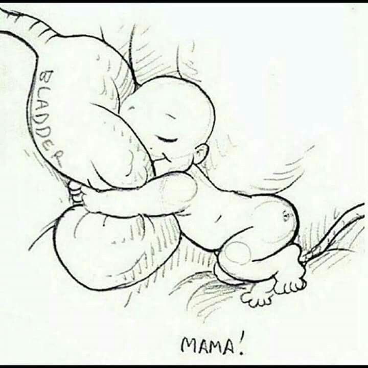 720x720 The Best Pregnancy Drawing Ideas On Studio