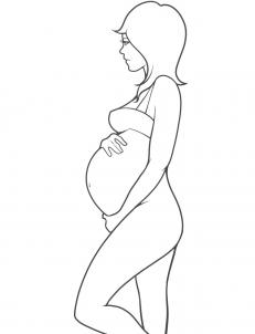 231x302 Pregnancy Drawings