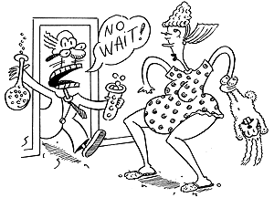 300x217 In Old Time Pregnancy Tests, Did Rabbit Really Die