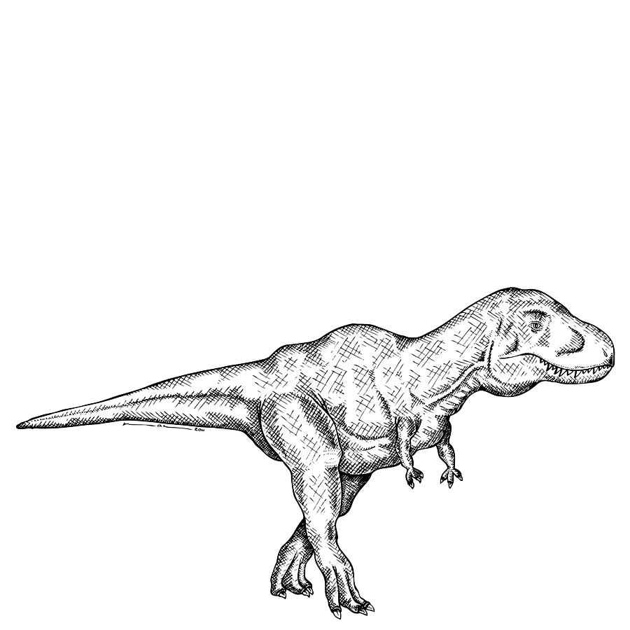 900x900 Prehistoric Art Drawings Fine Art America