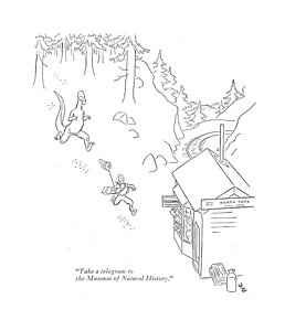 258x300 Prehistoric Drawings