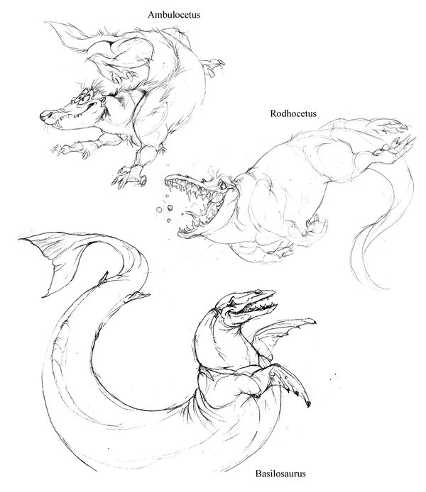 600x694 Prehistoric Whale Sketches By Chalicothere