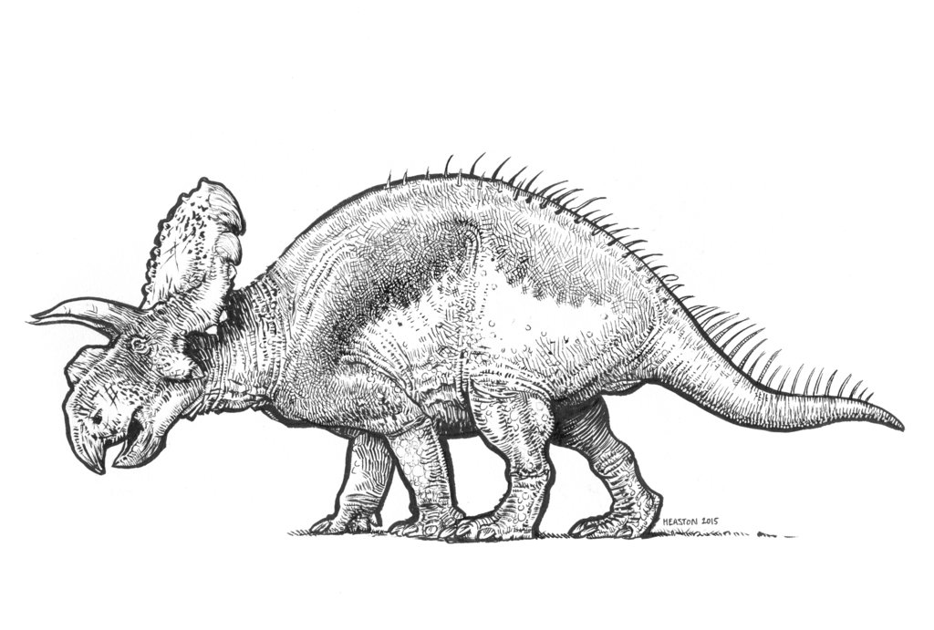 1024x691 Albertaceratops By On @