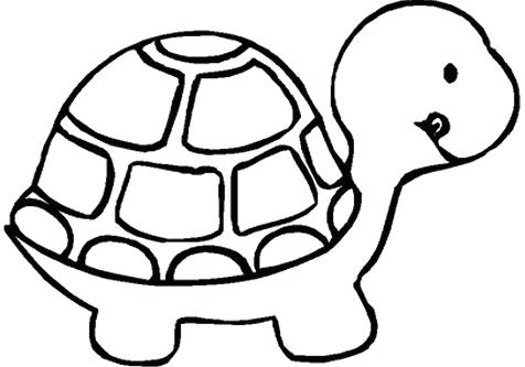476x333 Coloring Pages Zoo Animals Animals Coloring Medium Size Turtle Art