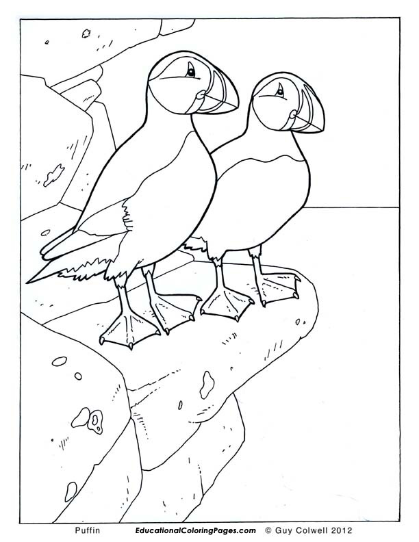 612x792 Birds Book One Educational Fun Kids Coloring Pages And Preschool