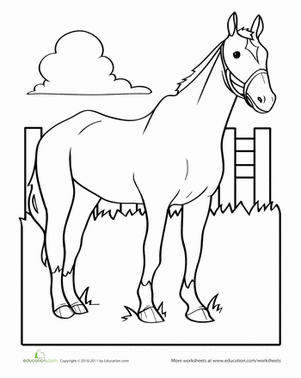 301x378 Horse Worksheet