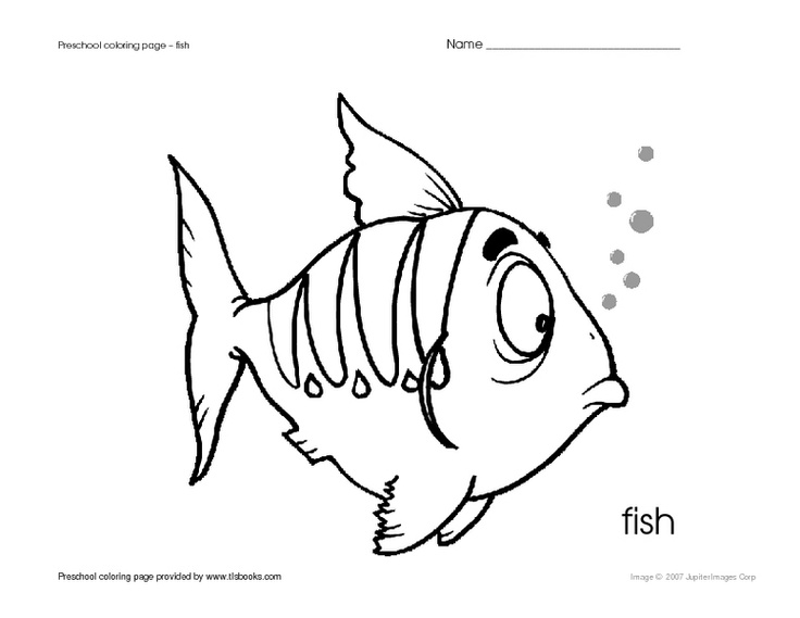 736x569 Preschool Coloring Page Fish Worksheet Lesson Planet Ocean Theme