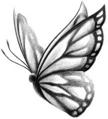 216x239 Butterfly Sketch. So Pretty. Love It.