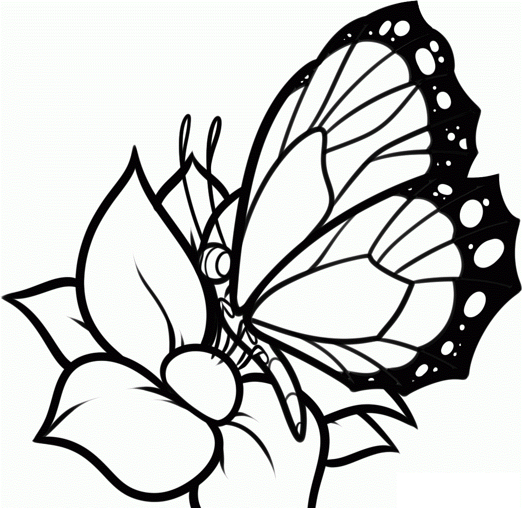 1076x1047 Butterfly With Flowers Coloring Pages Coloring Pages Flowers