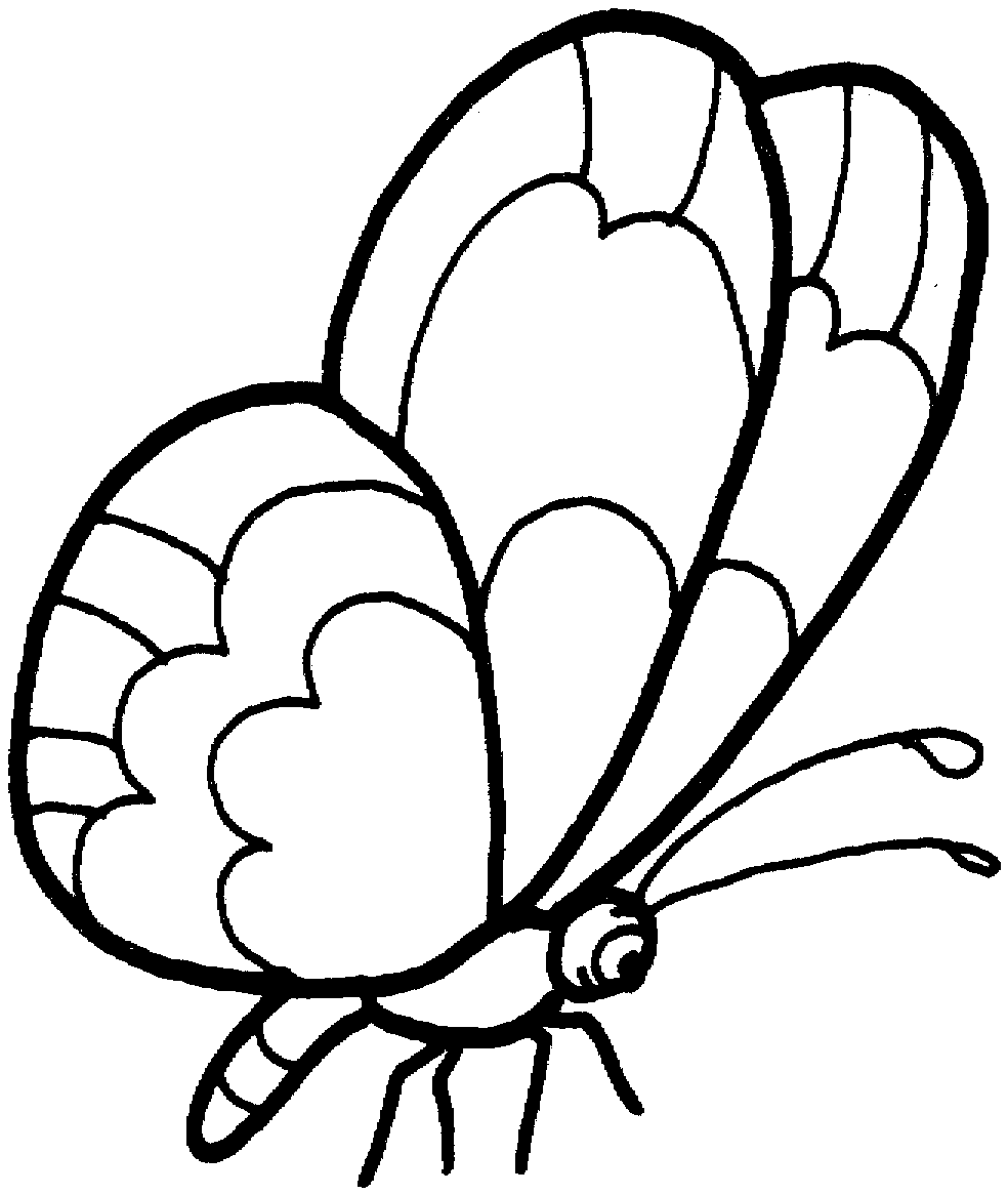 984x1166 Free Printable Butterfly Coloring Pages For Kids