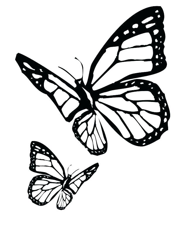 618x800 Butterflies Coloring Pages Monarch Butterfly Coloring Pages As