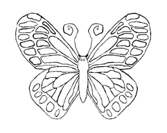 241x193 Butterfly Coloring Pages Download Free Butterflies To Color