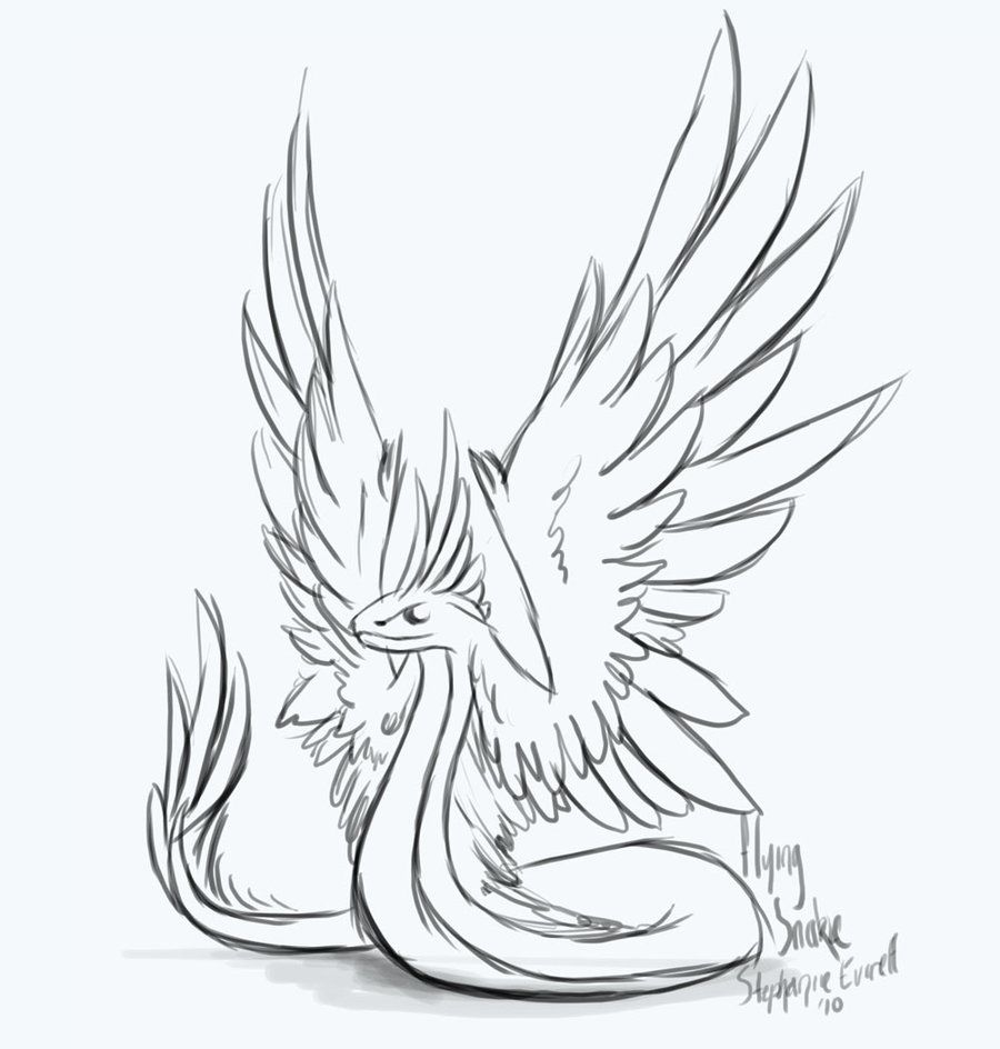 900x944 Winged Snake Sketch By Anuxinamoon On. Found This