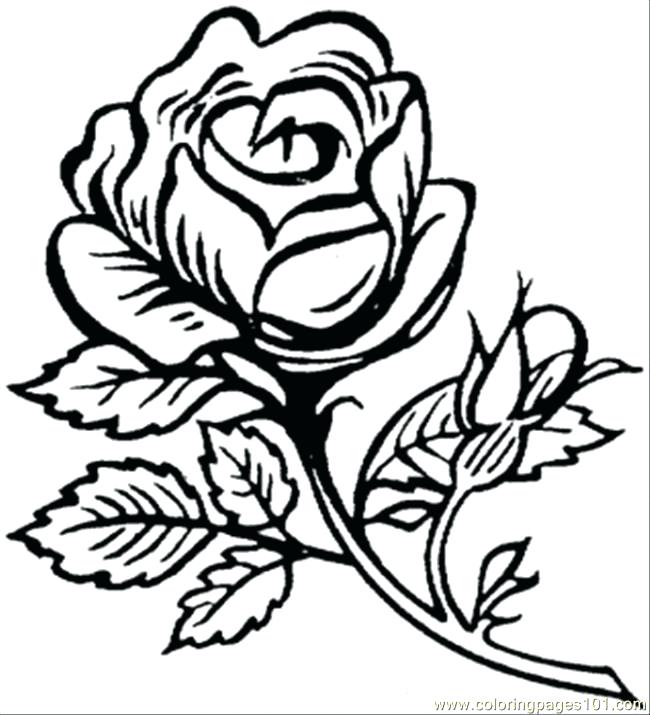 650x715 Coloring Pages Flowers Printable Pretty Flower Coloring Pages