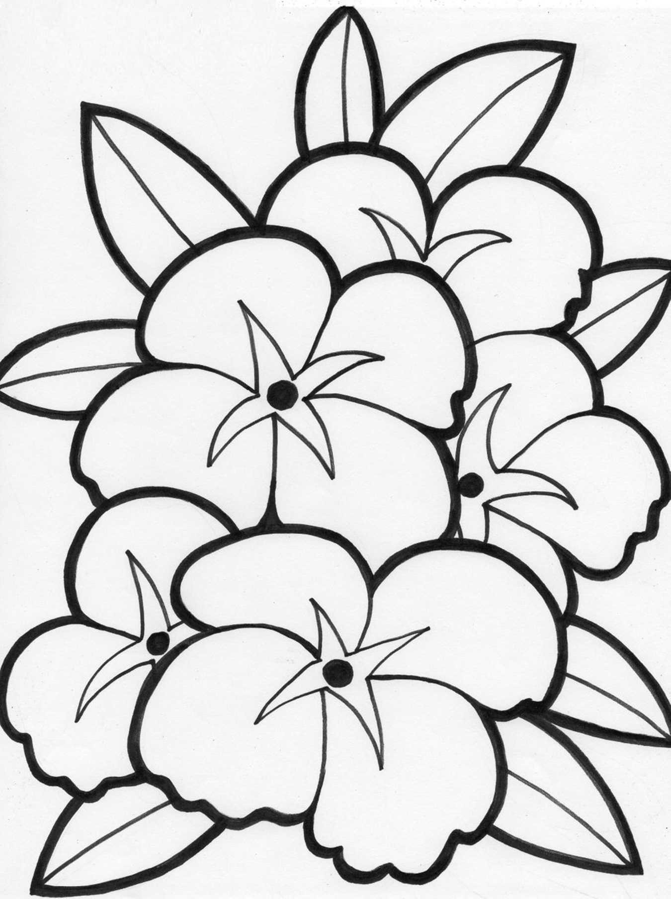 1350x1808 Attractive Free Coloring Pages Flowers Printable For Pretty Draw
