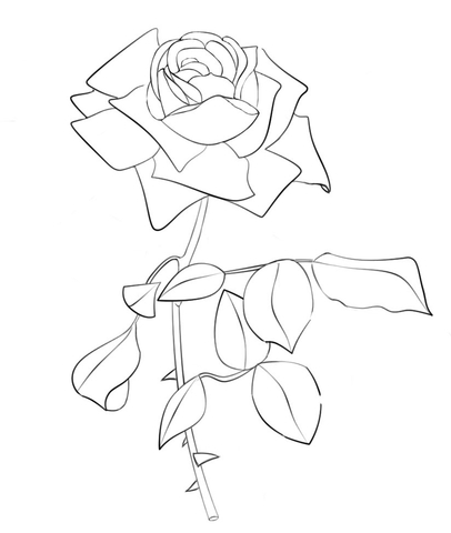 406x480 Rose Coloring Page Free Printable Coloring Pages