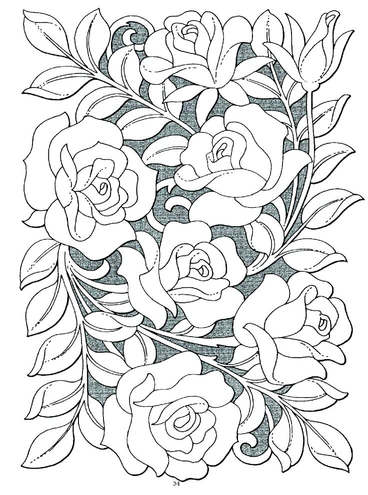 736x991 This Is Roses Coloring Pages Images Coloring Pages Rose Coloring
