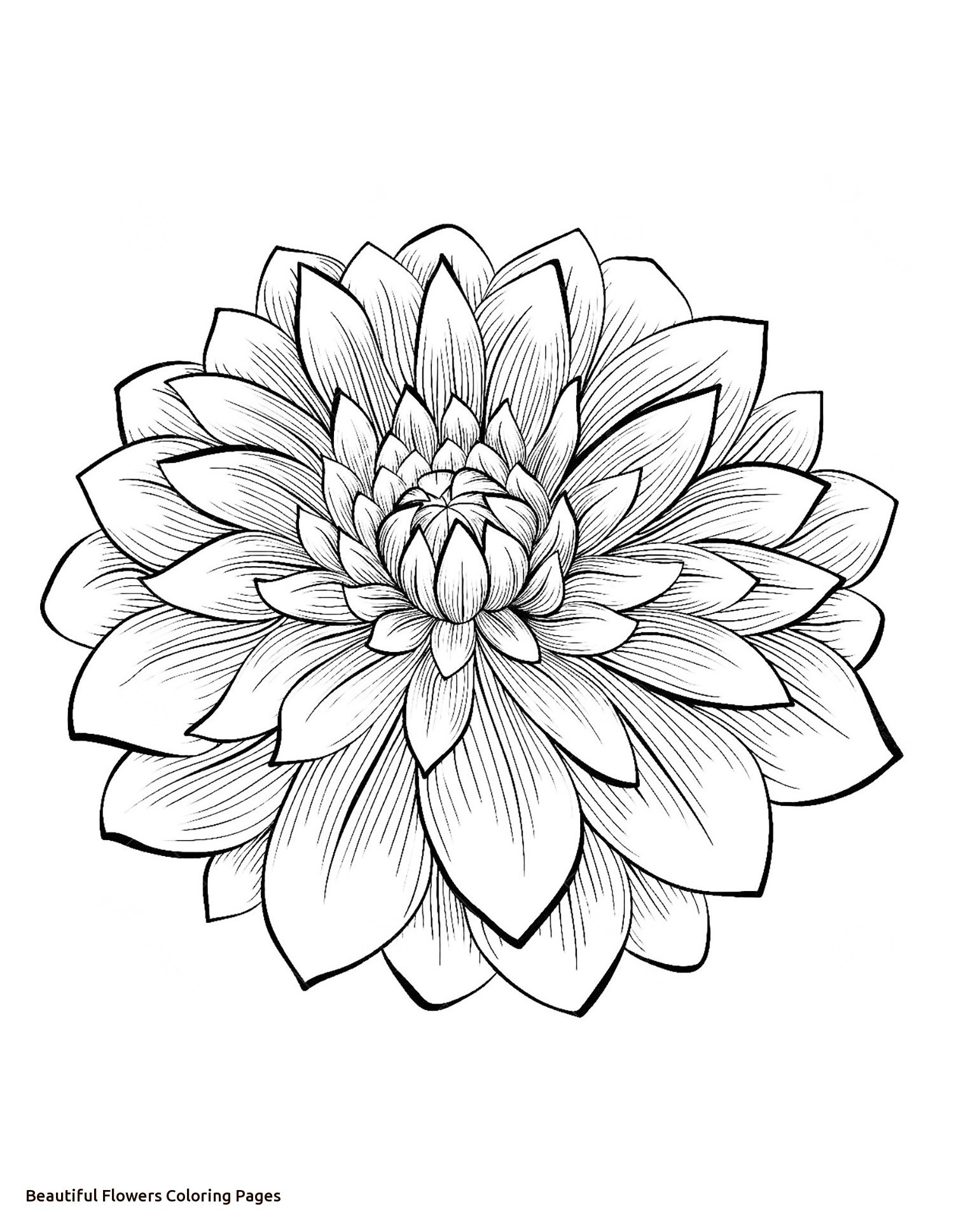 1500x1937 Beautiful Flowers Coloring Pages For Kids Lovely Pretty Rose