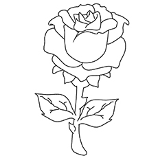 230x230 Top 25 Free Printable Beautiful Rose Coloring Pages For Kids