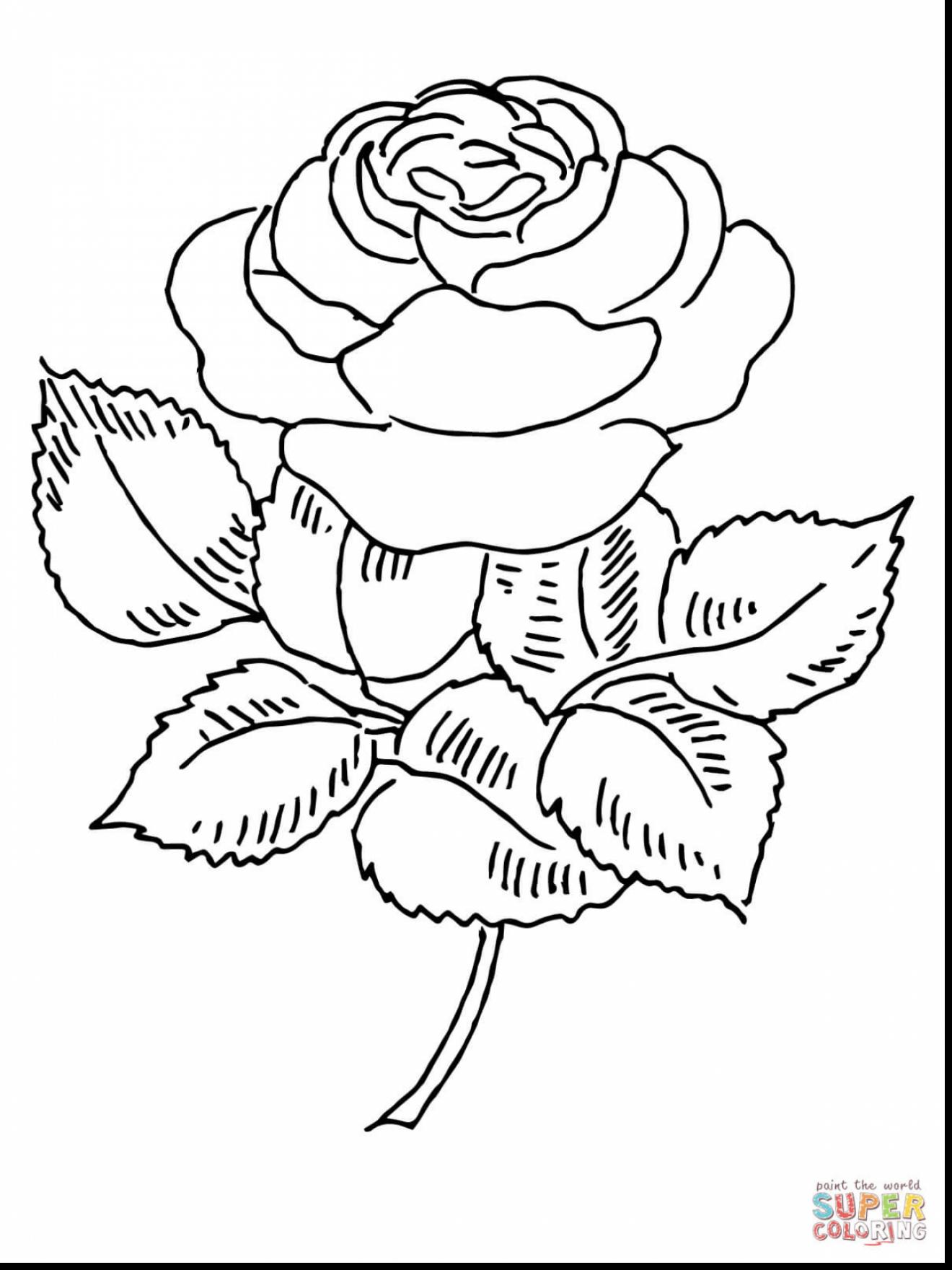 1320x1760 Extraordinary Pretty Roses Coloring Pages With Rose Coloring Page