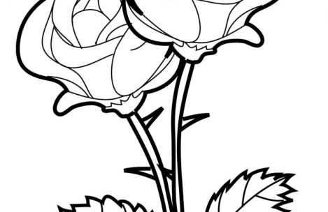 469x304 Pretty Rose Coloring Pages For Girls Just Colorings