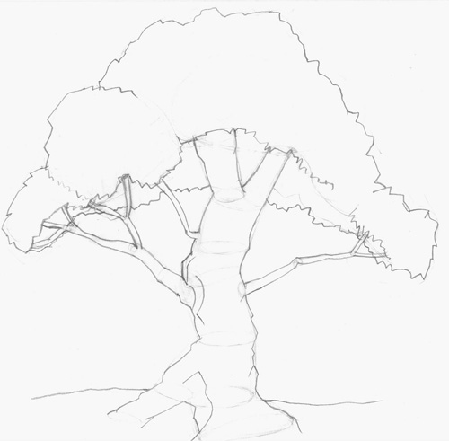 500x491 How To Sketch Trees