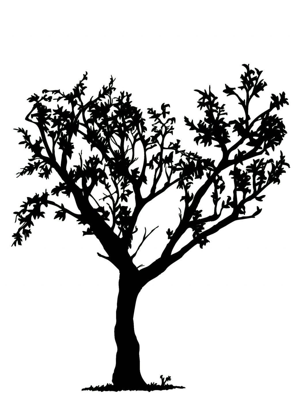 1024x1383 Baby Nursery ~ Extraordinary Simple Black And White Tree Drawing