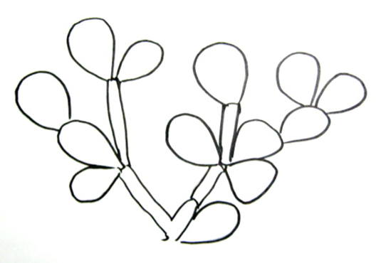 535x370 How To Draw A Cactus