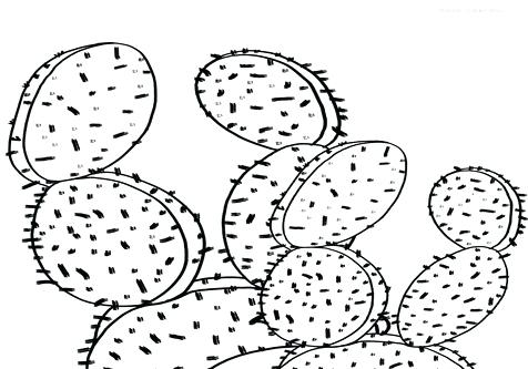 476x333 Cactus Coloring Pages
