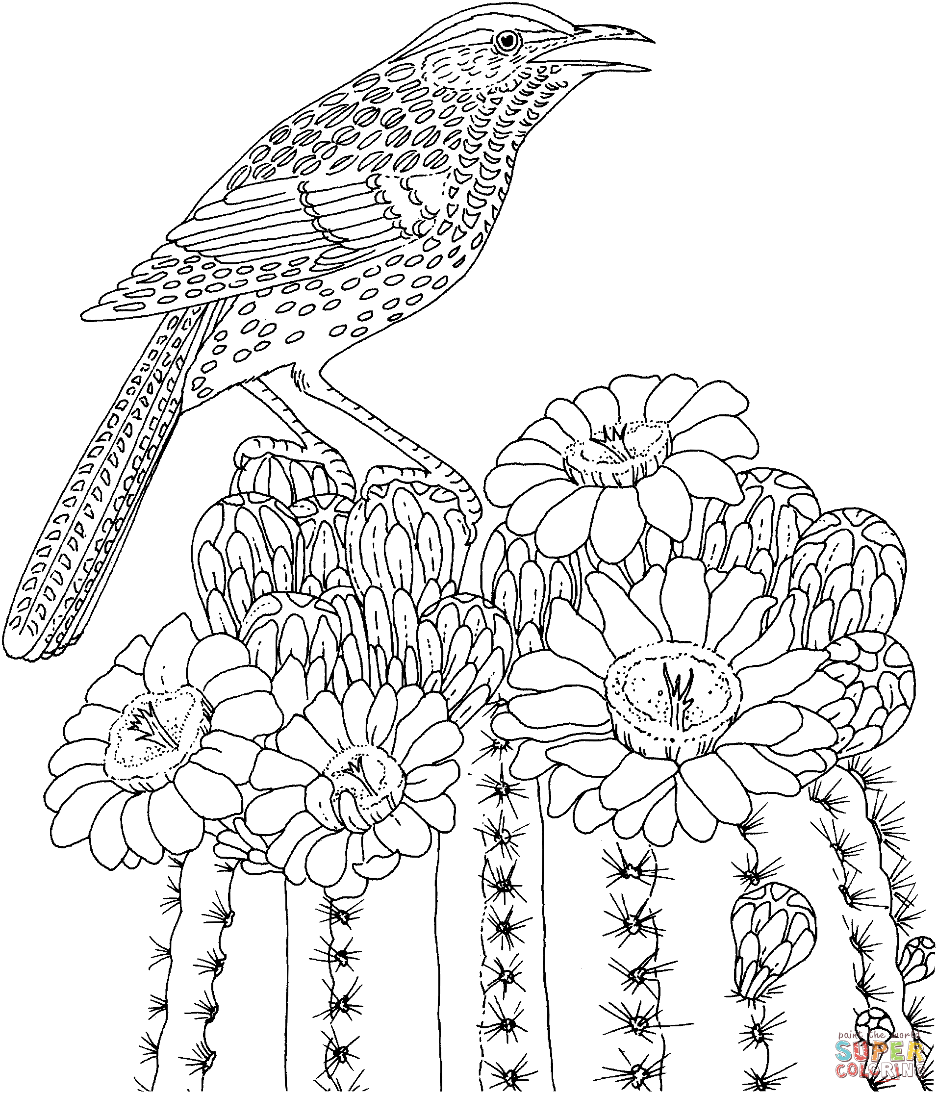 1911x2229 Prickly Pear Cactus Coloring Page Free Printable Coloring Pages