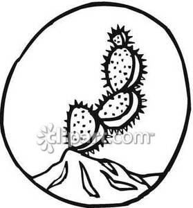 279x300 And White Prickly Pear Cactus