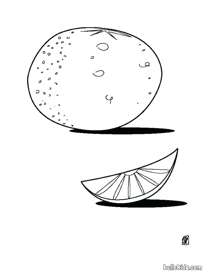 736x951 Pear Coloring Page