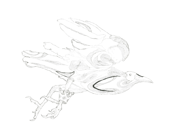 576x432 Crown Prince Camel Under Tree