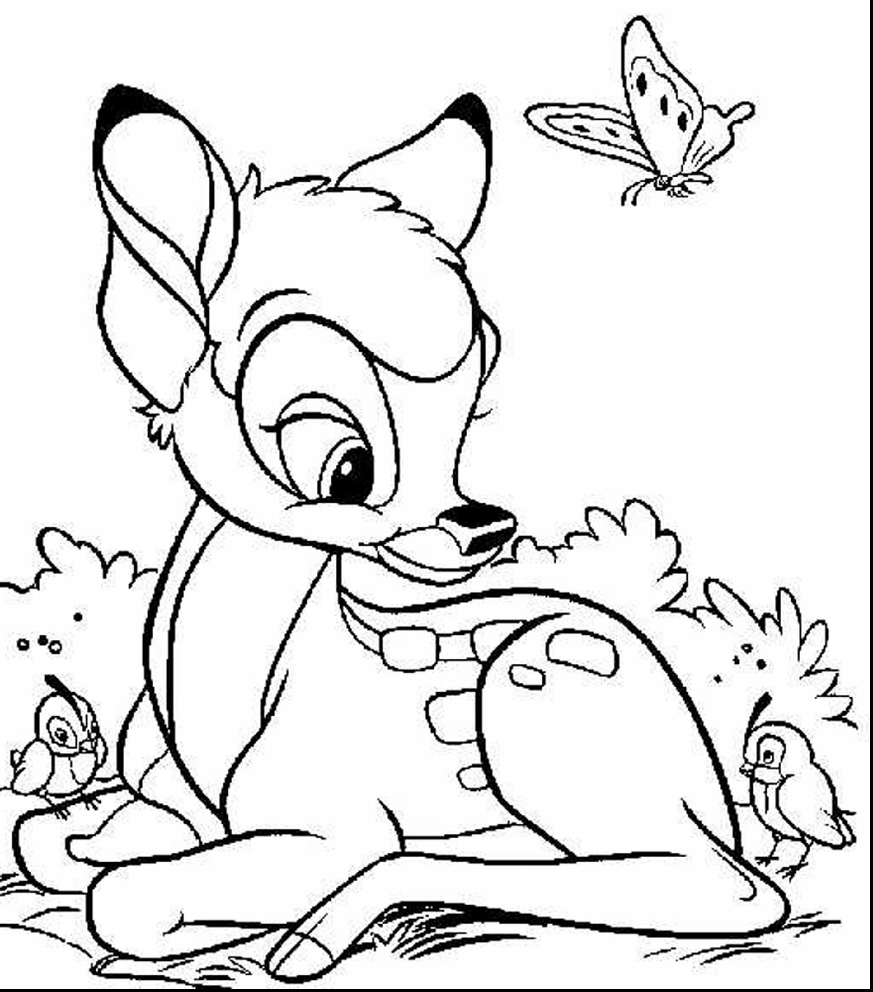 2805x3186 Free Printable Coloring Pages And Activities Free Draw To Color