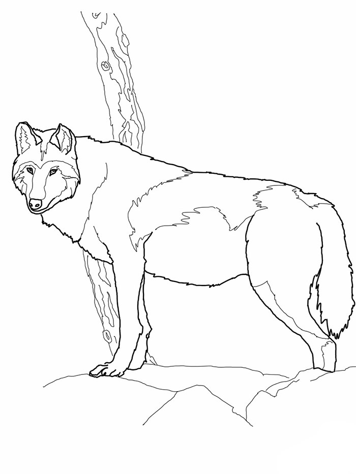 700x933 Wolf Template