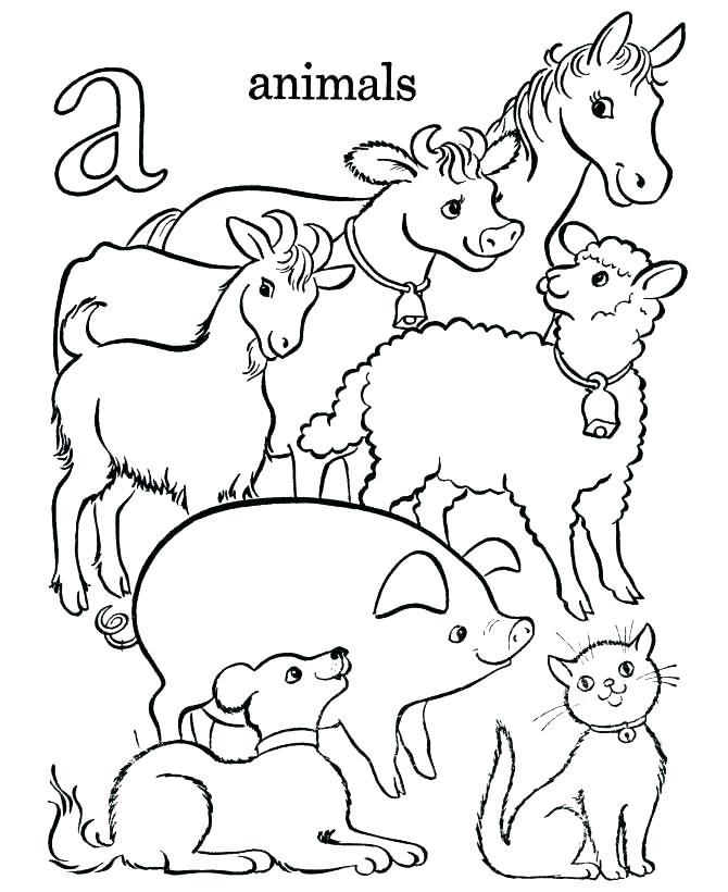 670x820 Coloring Pages Of Animals Marvelous Decoration Animals Coloring