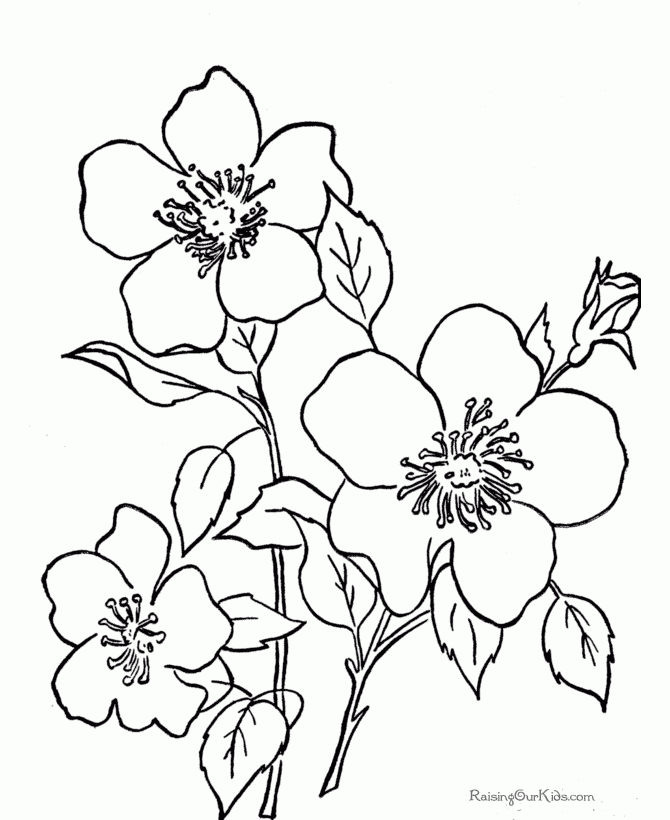 670x820 Marvelous Printing Coloring Pages 71 On Line Drawings