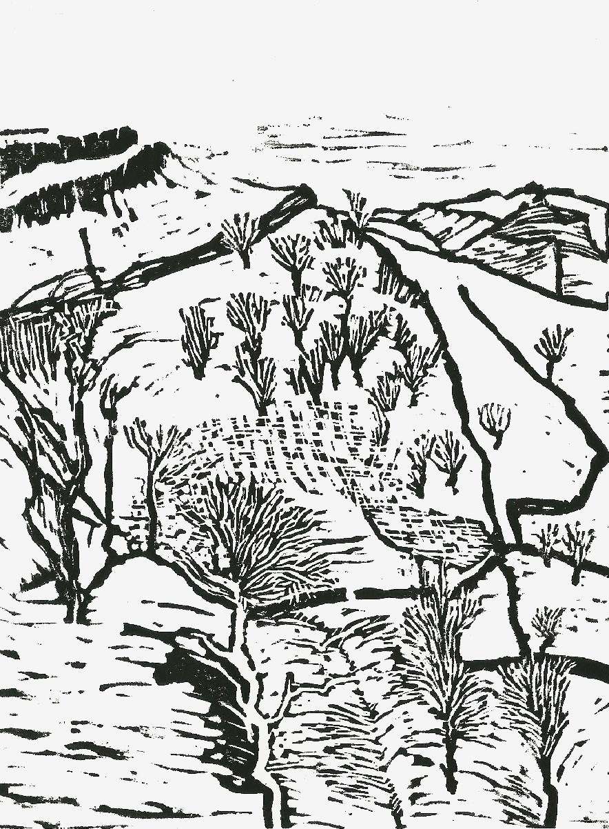 884x1202 Printmaking Kestrelart