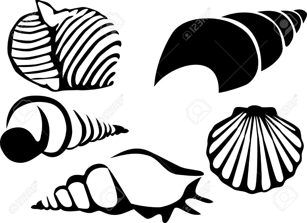1300x945 Image Result For Sea Shell Line Drawing Block Printing
