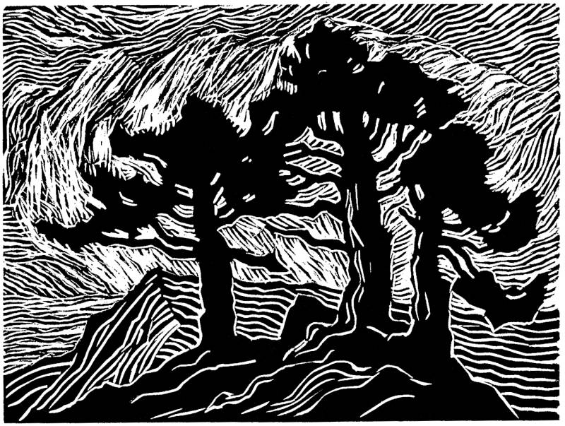 800x603 Print Making Research