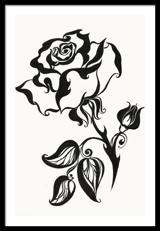 564x812 Rose Framed Print Featuring The Drawing Chinese Rose By Jenny