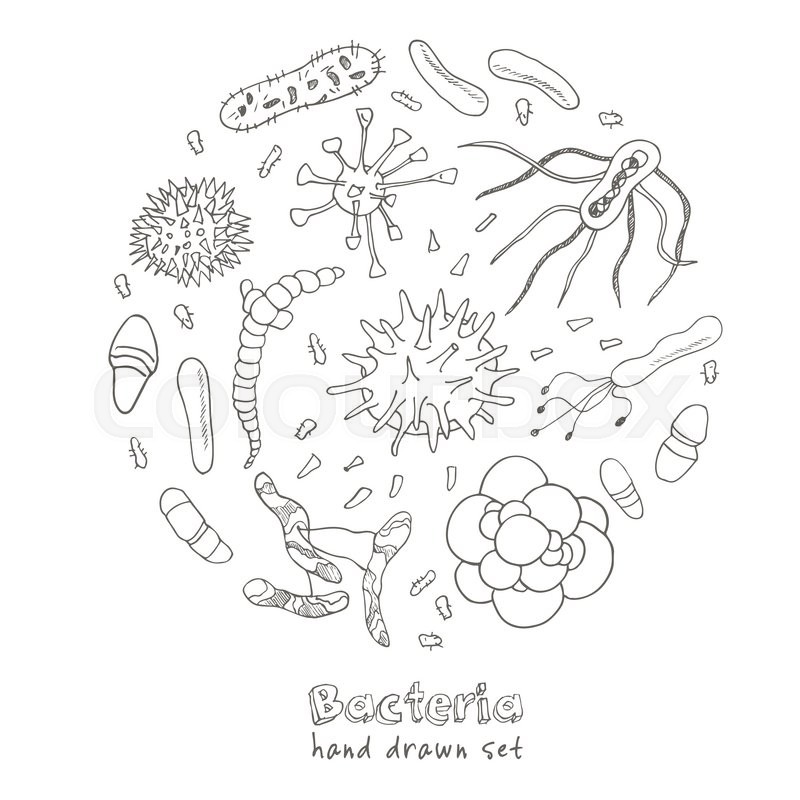 The best free Bacteria drawing images. Download from 75 free drawings ...